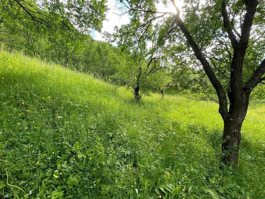 Vand doua terenuri, intravilan, com Secaria, Prahova