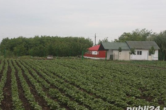 Vand ferma cu potential productie produse naturale