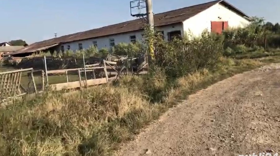 Vând fermă/1,5 ha intravilan