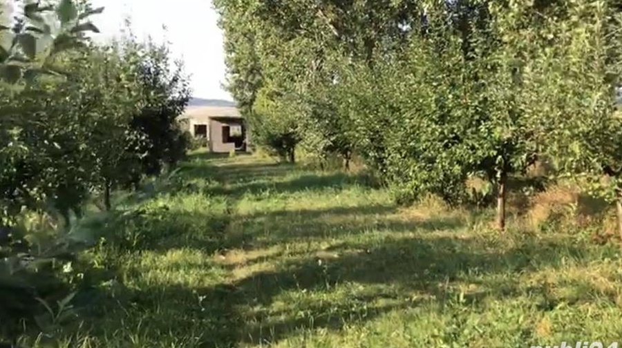 Vând fermă/1,5 ha intravilan