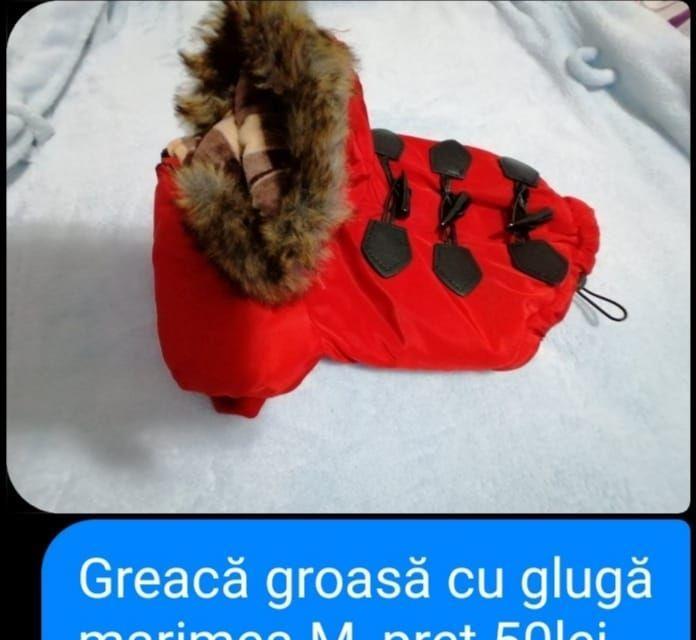 vand hainute de catei mici au fost cumparate di germania