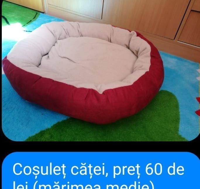 vand hainute de catei mici au fost cumparate di germania