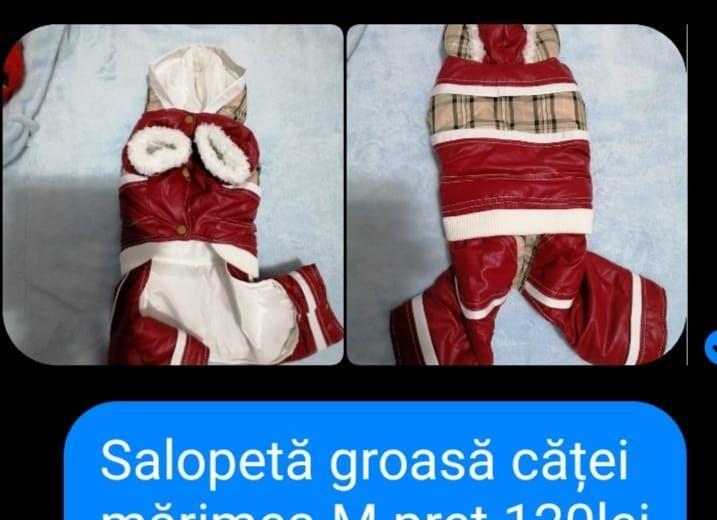 vand hainute de catei mici au fost cumparate di germania
