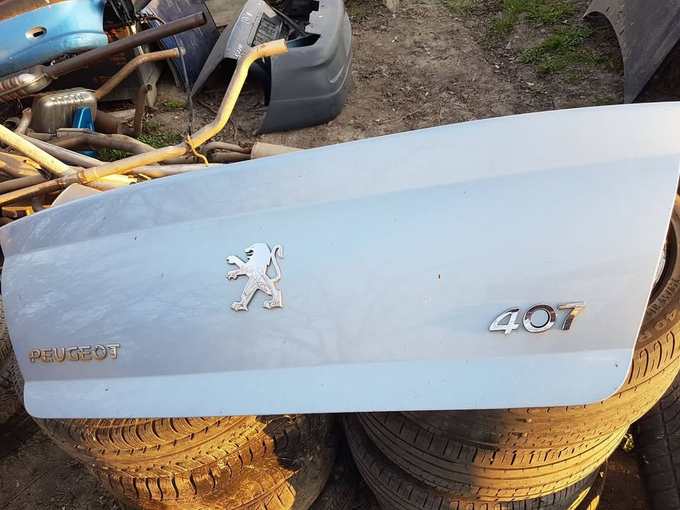 Vand haion Peugeot 407