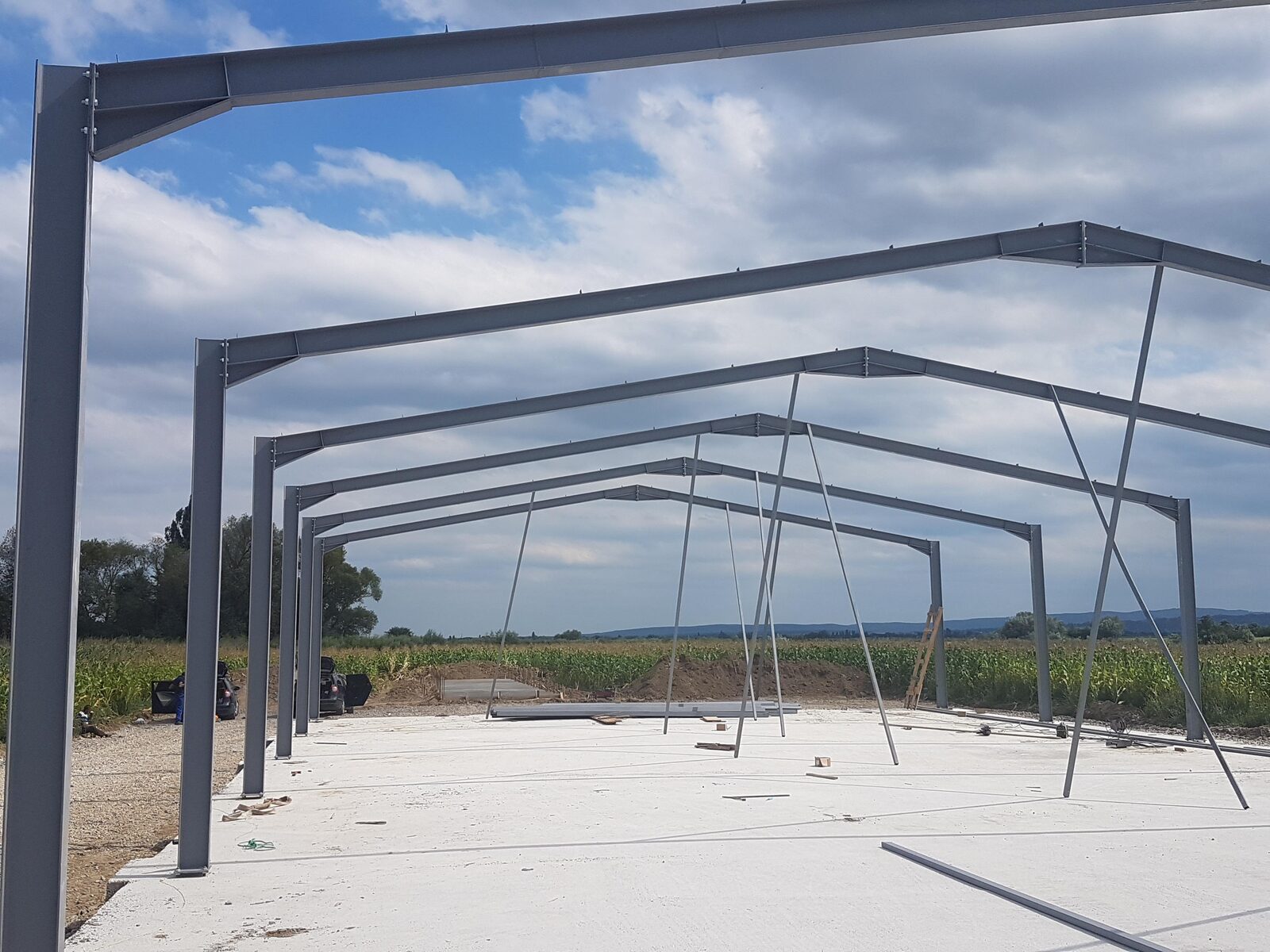 Vand hala metalica 10X30