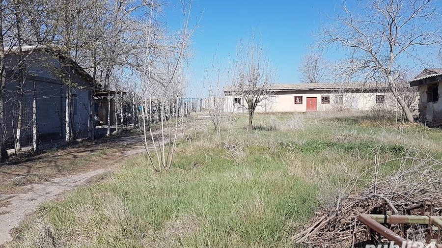 Vand / Inchiriez Teren 4300mp + cladiri