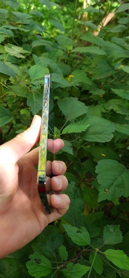 Vand Iphone 12 Pro Max
