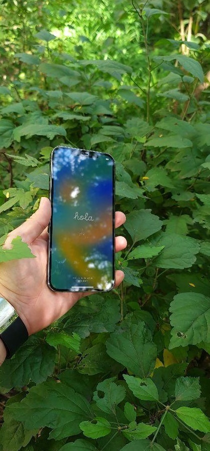 Vand Iphone 12 Pro Max