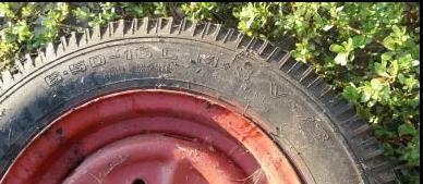 Vand jenti pe 15 sau 16 pentru remorca sau caruta