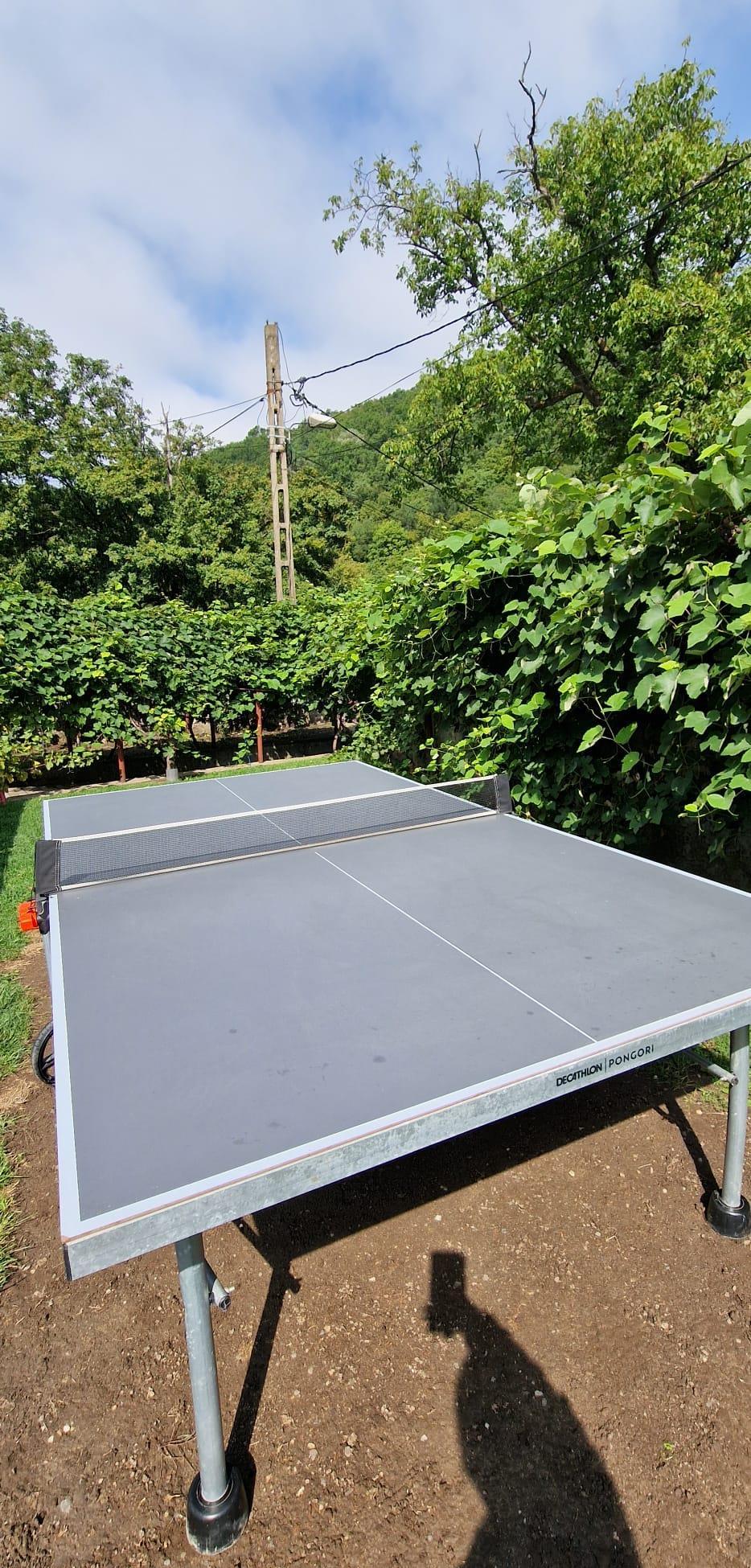 Vand masa tenis exterior Pongori PPT 530 Oravita
