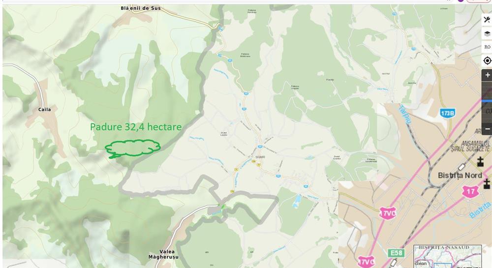 Vand padure de stejar langa orasul Bistrita,Sigmir .