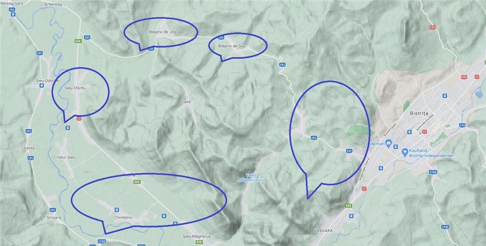 Vand padure de stejar langa orasul Bistrita,Sigmir .
