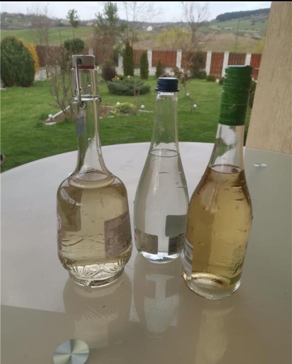 Vand palinca , horinca de prune 100%