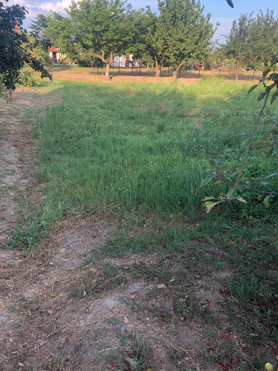 vand parcele casa