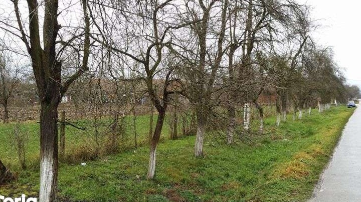 Vand parcele de teren in loc. Ictar