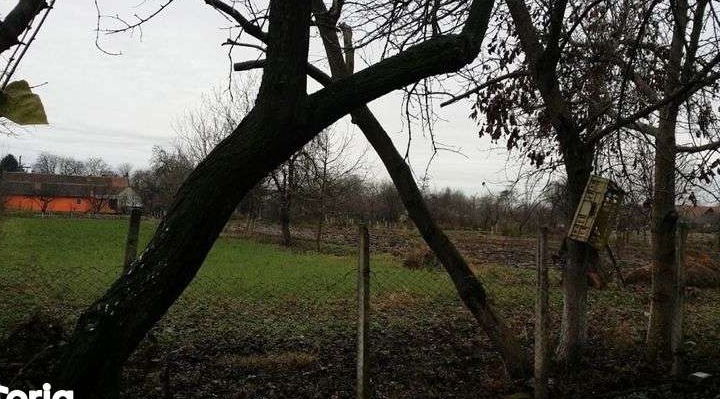 Vand parcele de teren in loc. Ictar