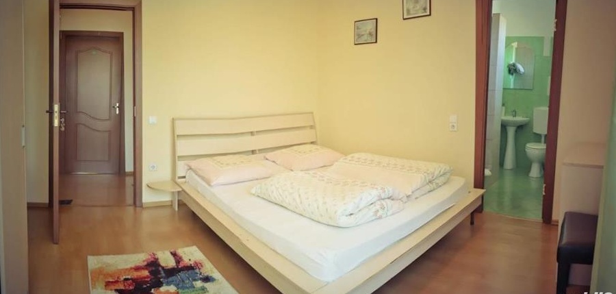 Vând pensiune/casa in Timisoara