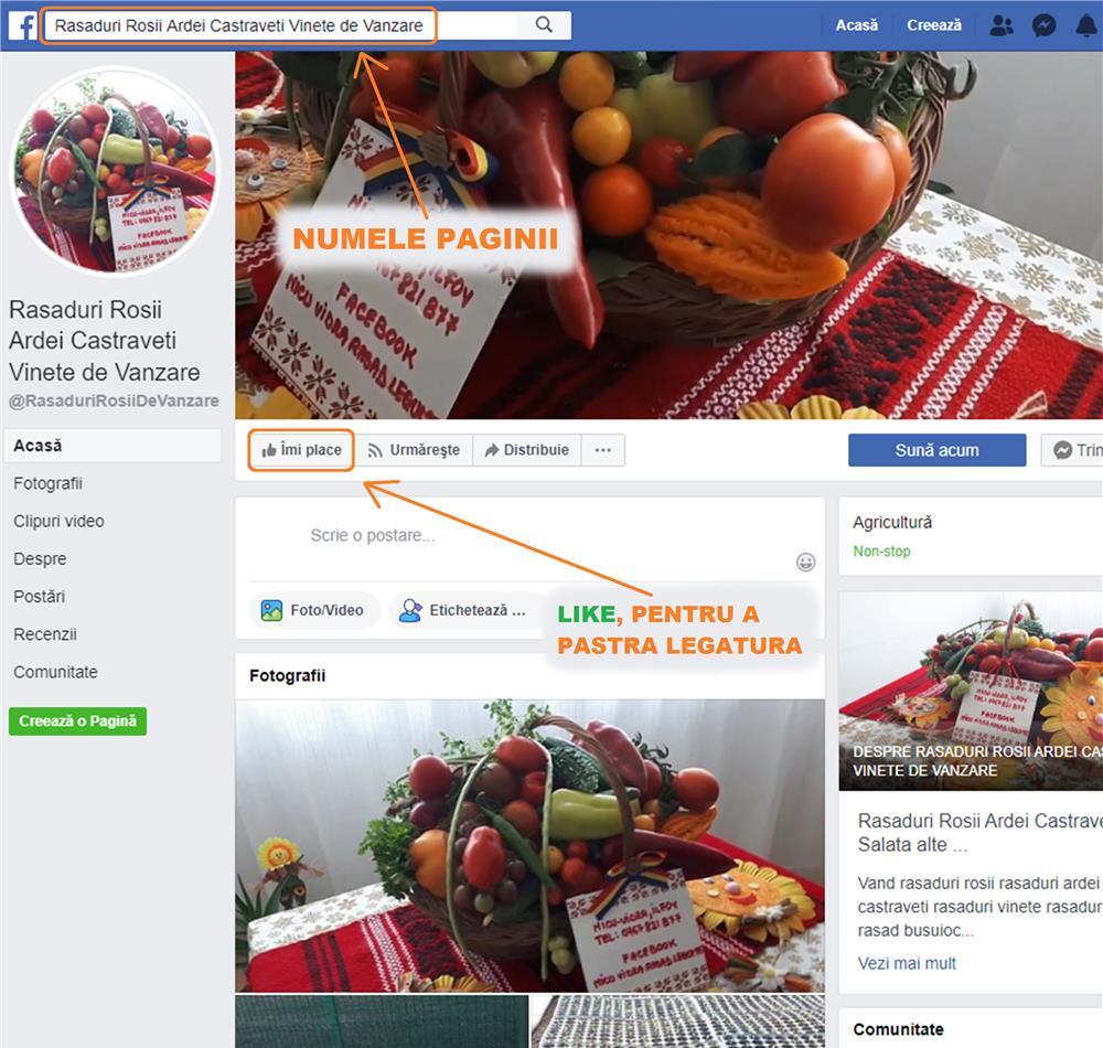 Vand Rasad Rosii Cherry Rosu / Galben / Negru si alte Rasaduri Legume