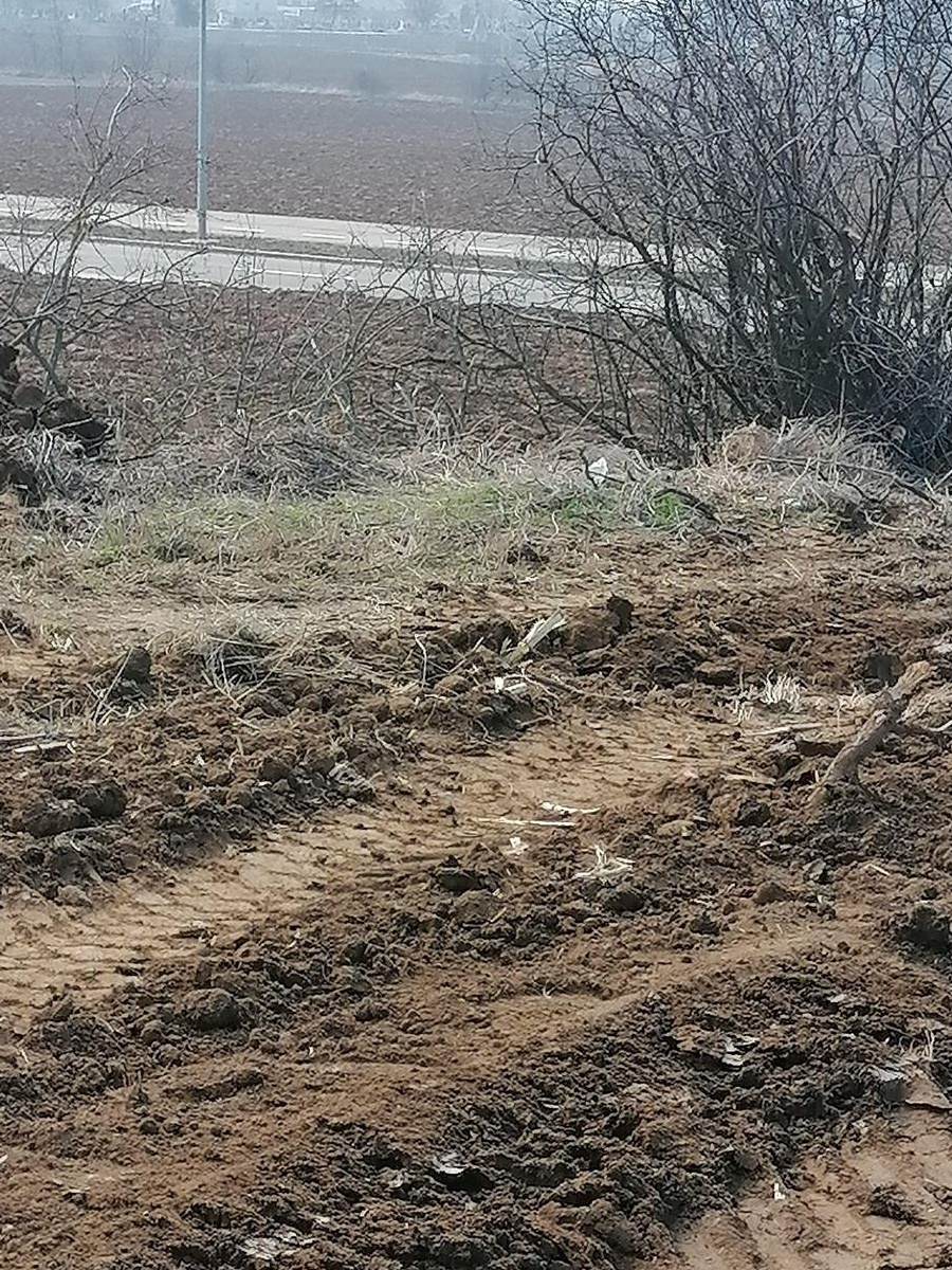 Vand sau inchiriez 4 500 m2 teren in Oradea