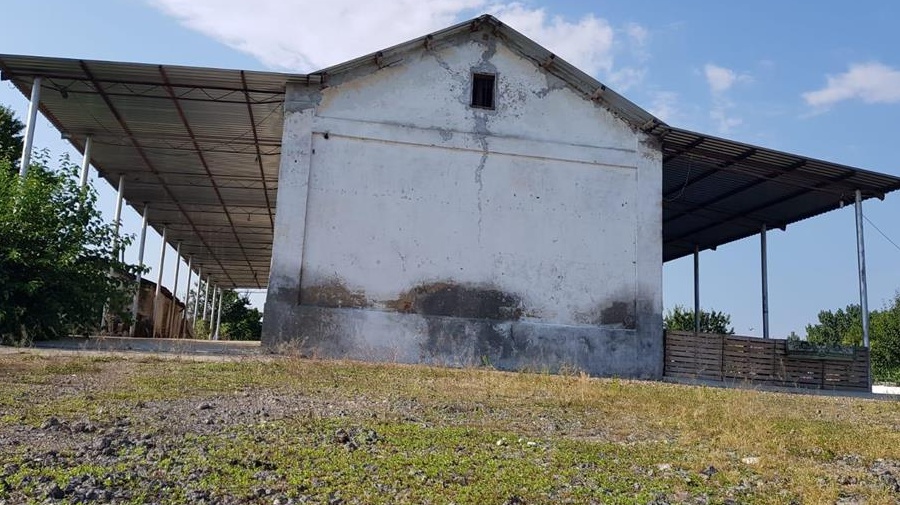 Vând sau Închiriez microfermă cu hală și anexe în Călărași