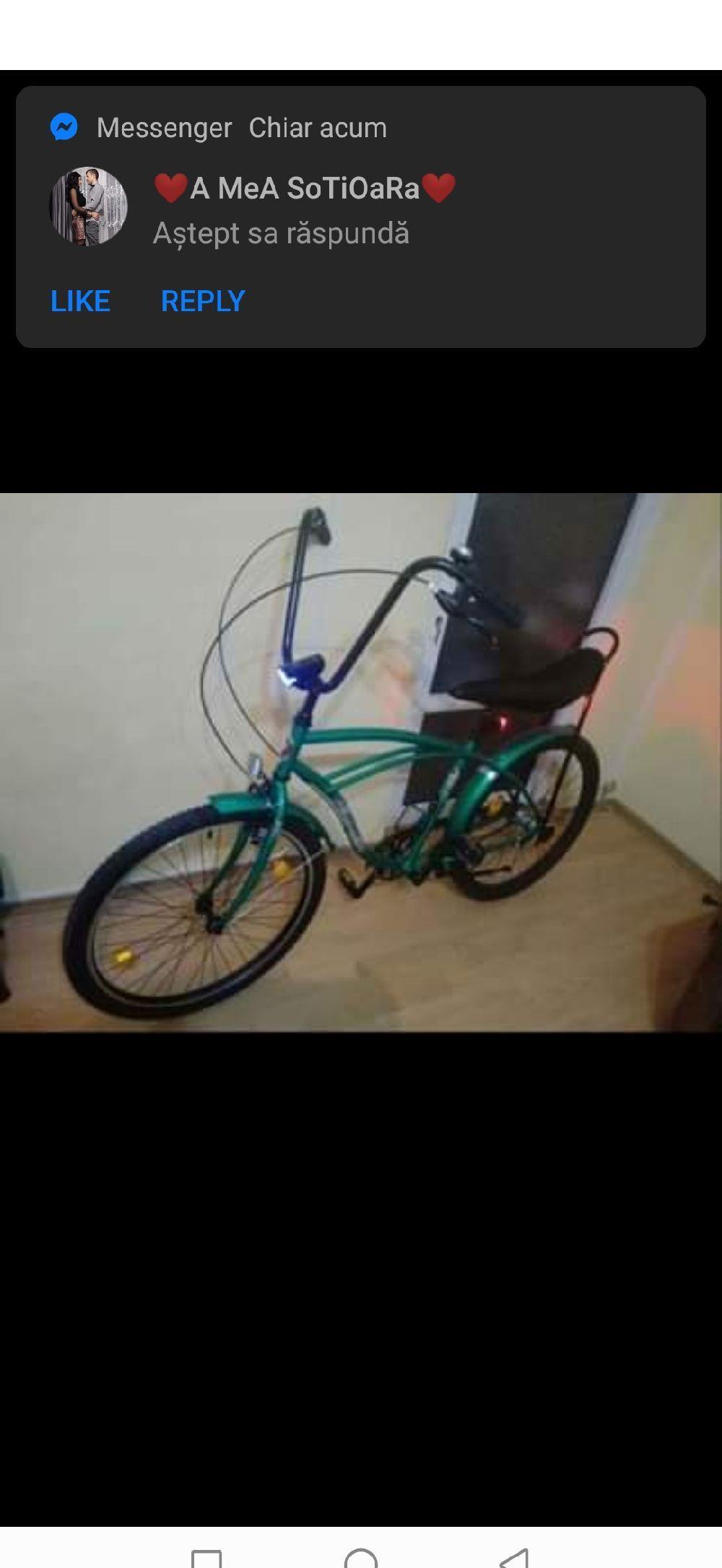 Vand schimb pegas strada 1