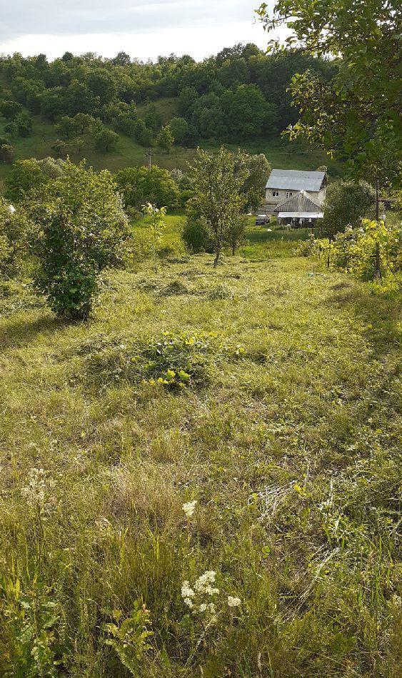 vand tere podis com margineni