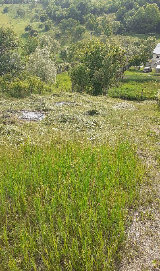 vand tere podis com margineni