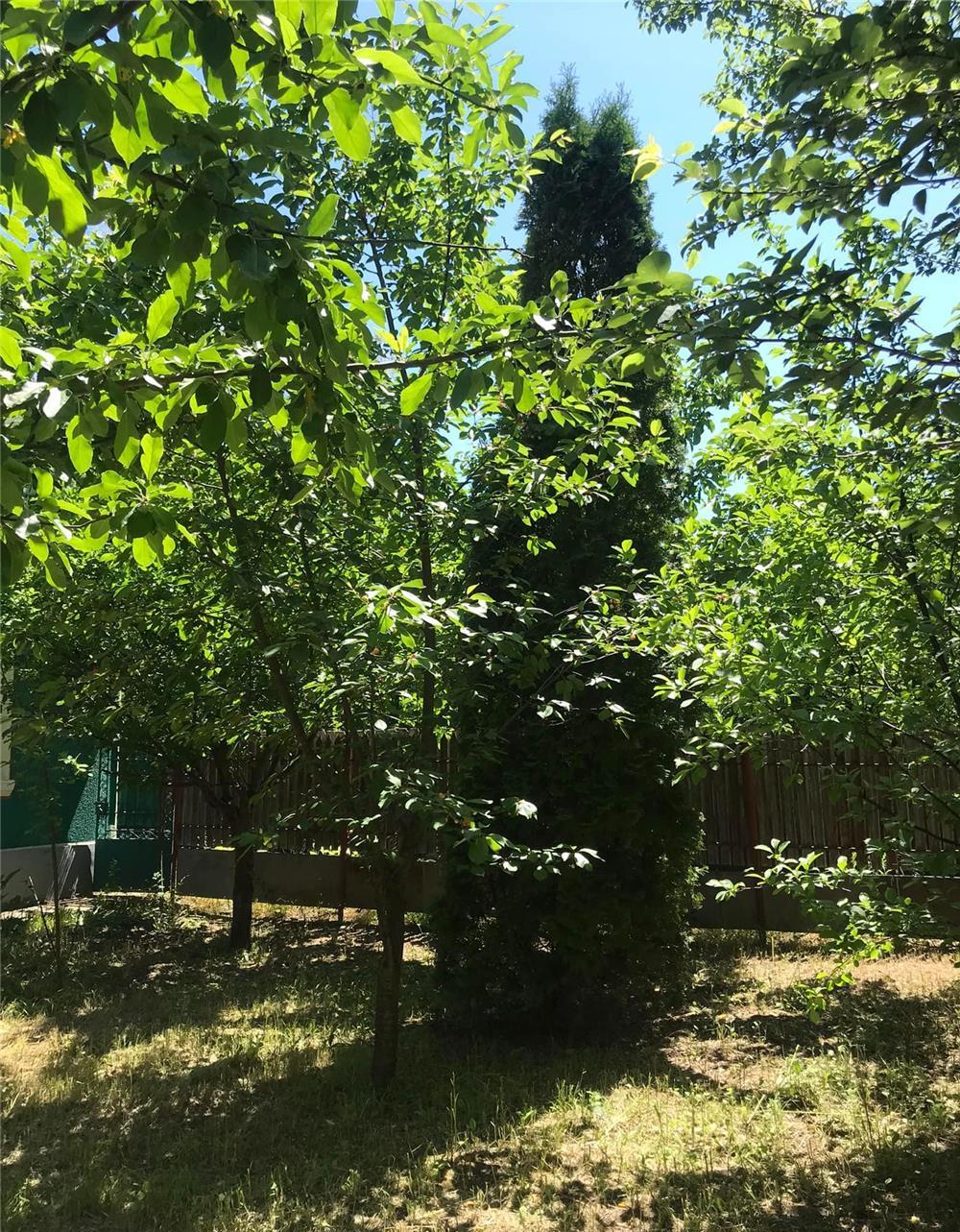 Vand teren 3500 mp si casa locuibila langa Manastirea Dridu.