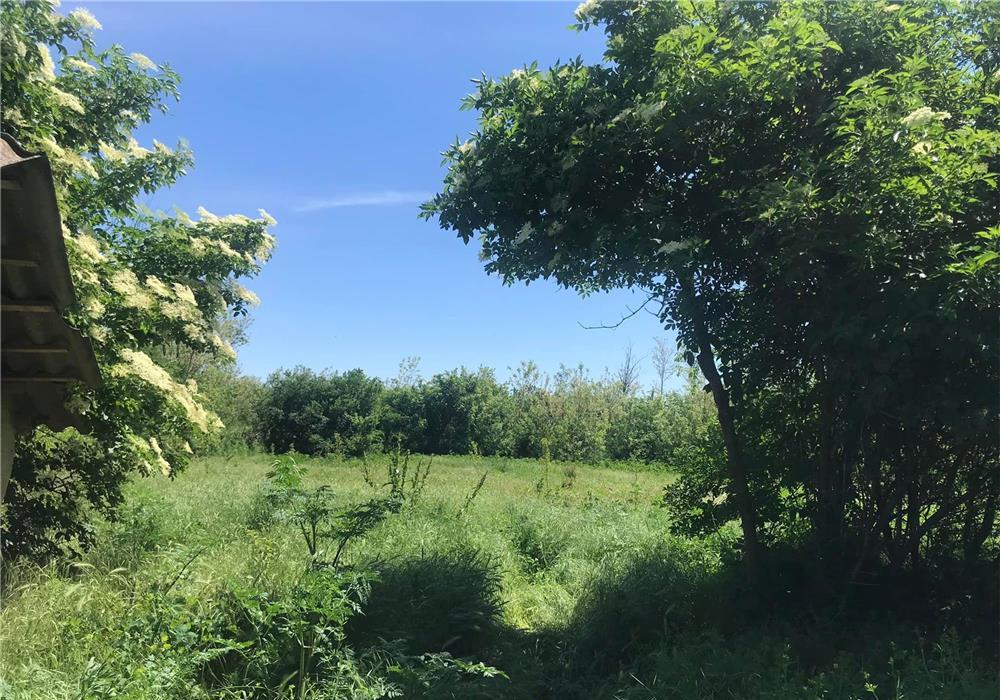 Vand teren 3500 mp si casa locuibila langa Manastirea Dridu.