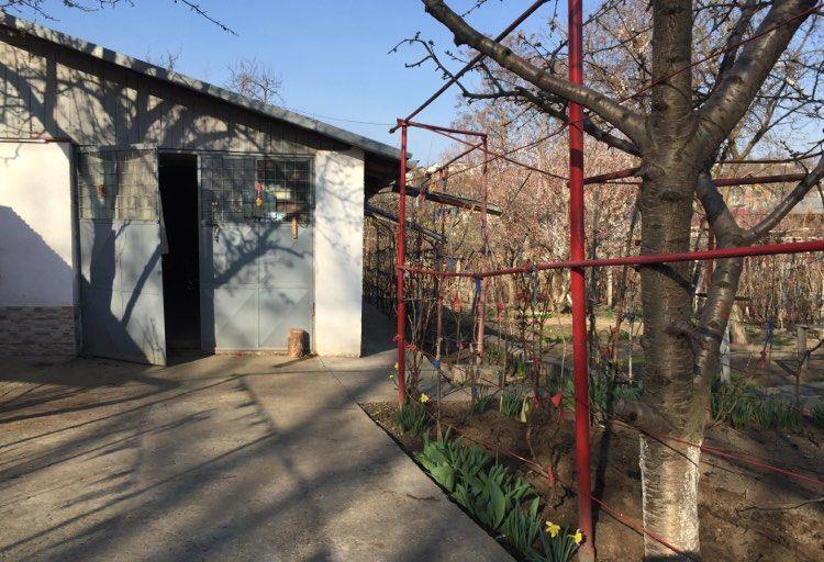 Vand teren ( 500 m2)