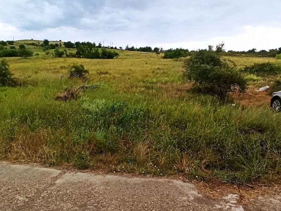 Vand teren 6000mp, in oras Urlati, prahova
