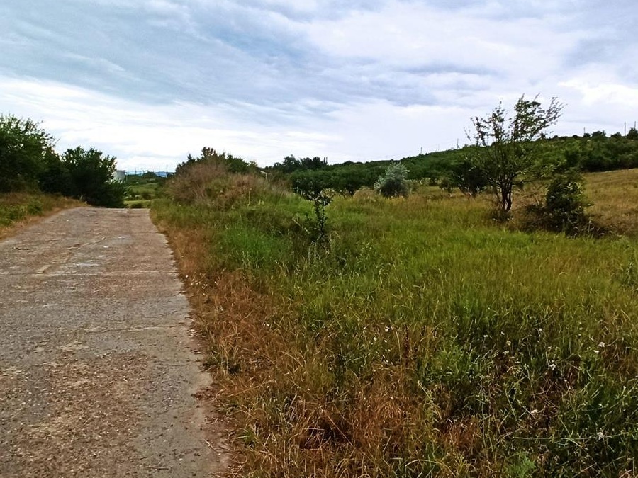 Vand teren 6000mp, in oras Urlati, prahova