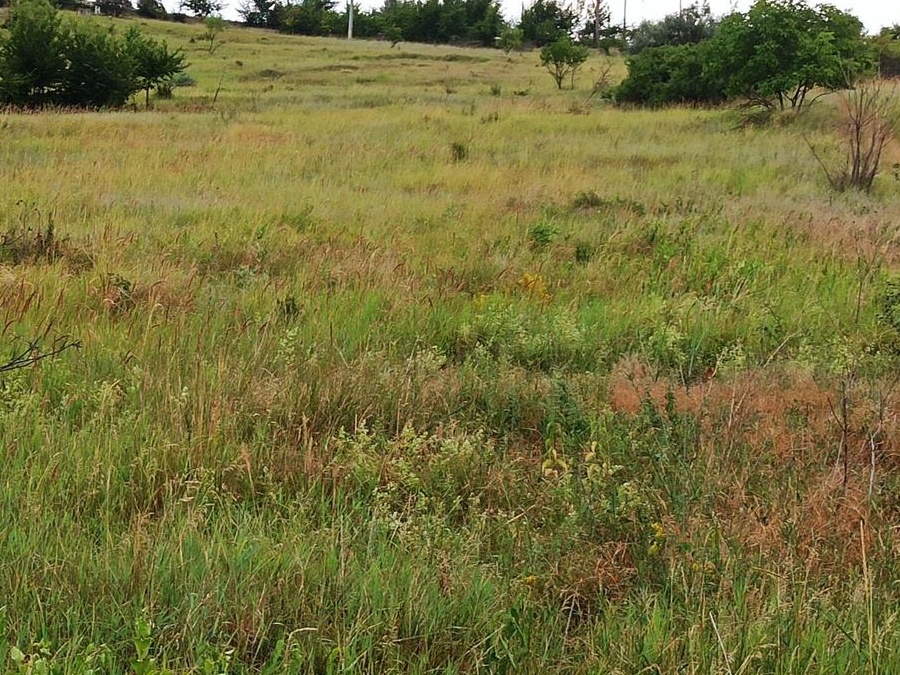Vand teren 6000mp, in oras Urlati, prahova