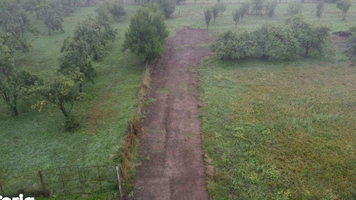 Vand teren Albestii de Arges