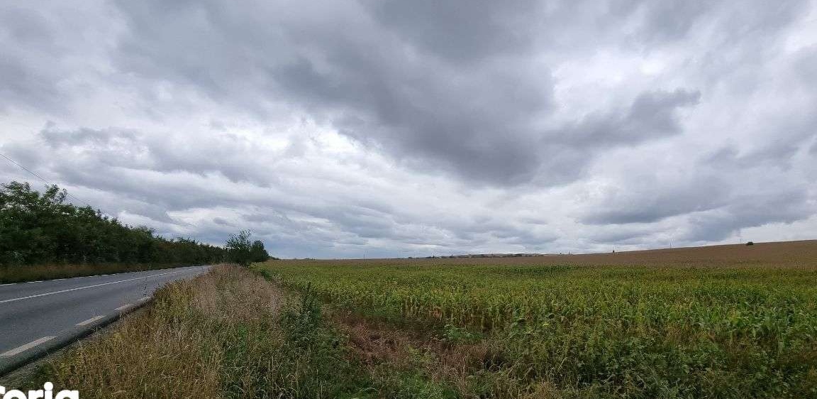 Vand teren Bacau, 3000mp, in Loc. Secuieni, 10Km de A7