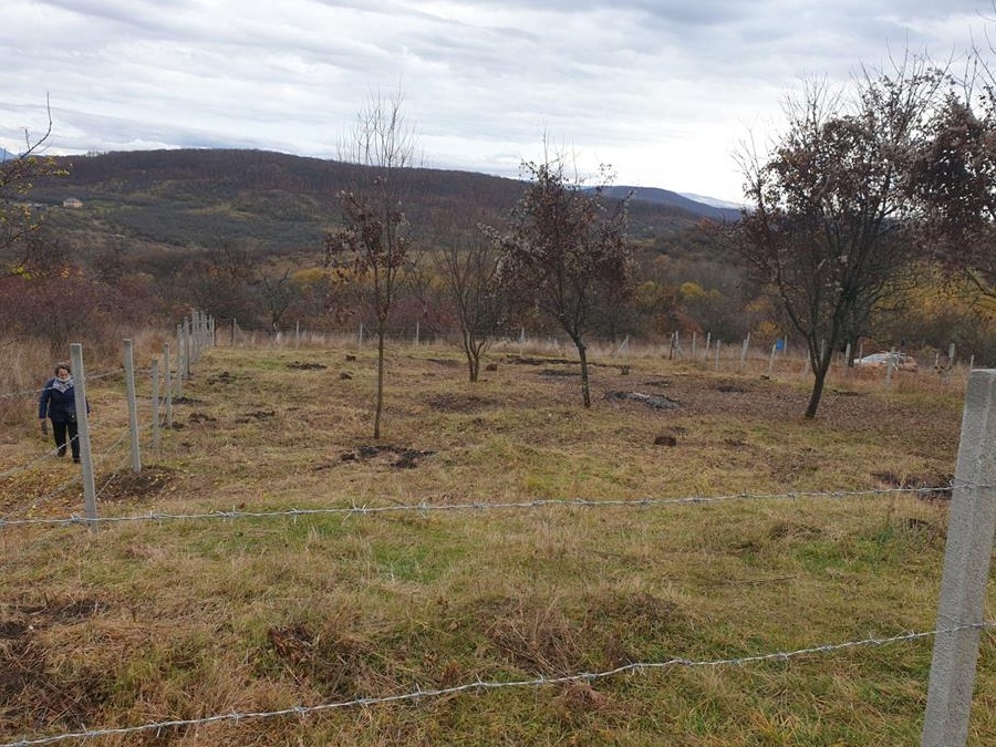 Vand teren Bistrita, Valea Rusului, 10 ari