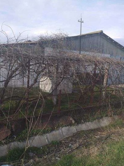 Vand teren cu grajd