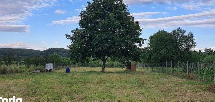 Vand teren in Topoloveni