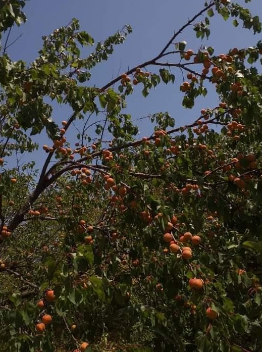 Vand teren in zona cu competii pescaresti a Baltii Cercani Greaca