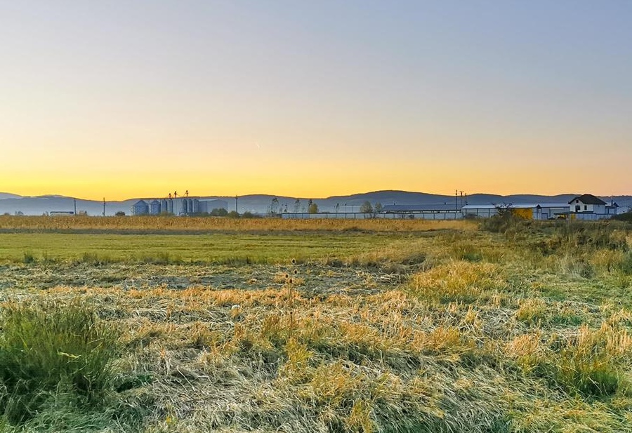 Vand teren industrial, 11.600m2 in Cristian, Sibiu