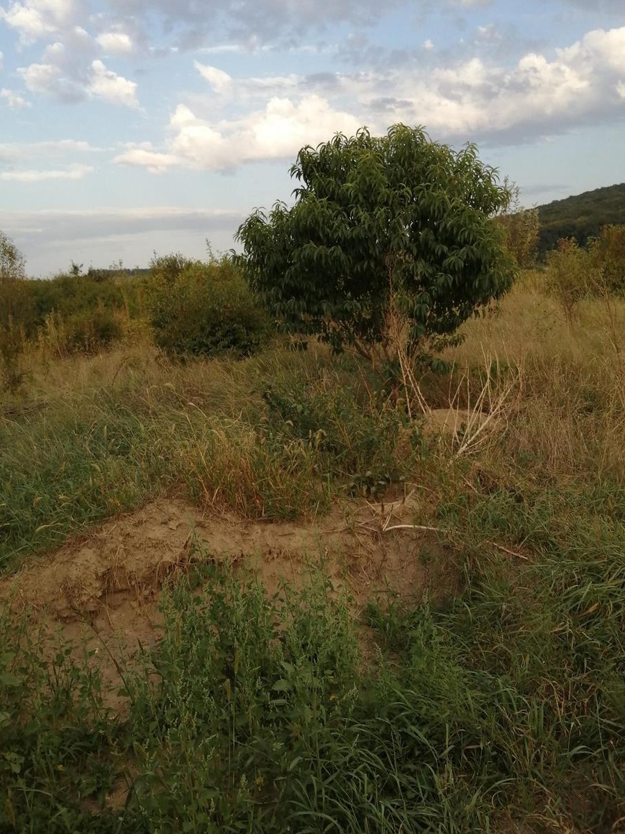 Vand teren intravilan 1085 mp, str. Subpadure , Sg. de Mures