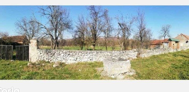 Vand teren intravilan 1500mp Caprioara\Savarsin - 6890euro