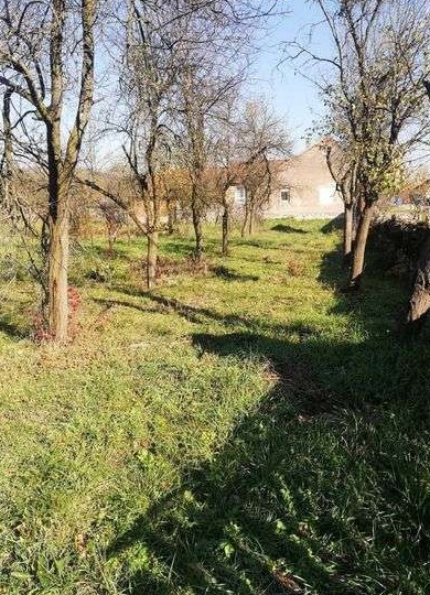 Vand teren intravilan 1500mp Caprioara\Savarsin - 6890euro