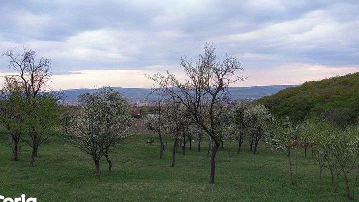 Vând teren intravilan 1808 mp Alba Iulia, zona schit