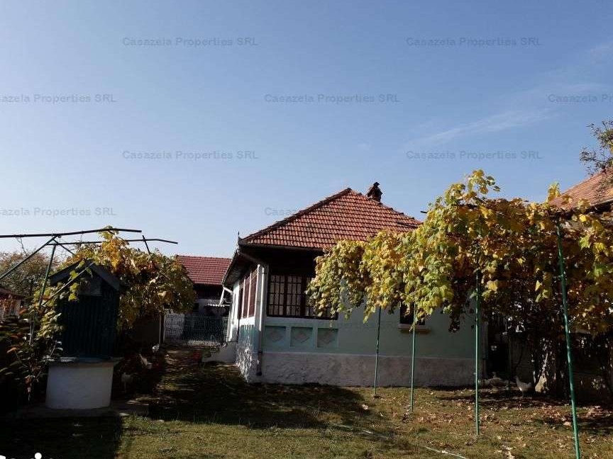Vand Teren intravilan, categoria curti-constructii, cu supra