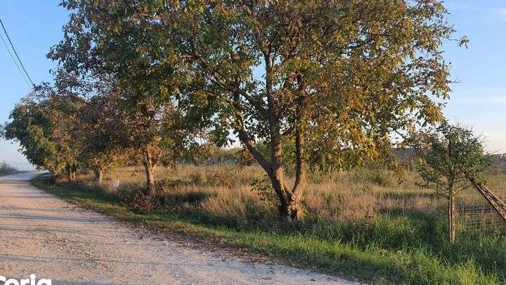 vand teren intravilan cu panorama deosebita piersicilor