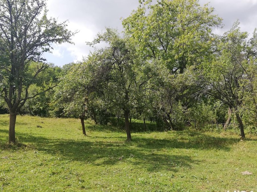 Vand teren intravilan Godeni Jud Arges