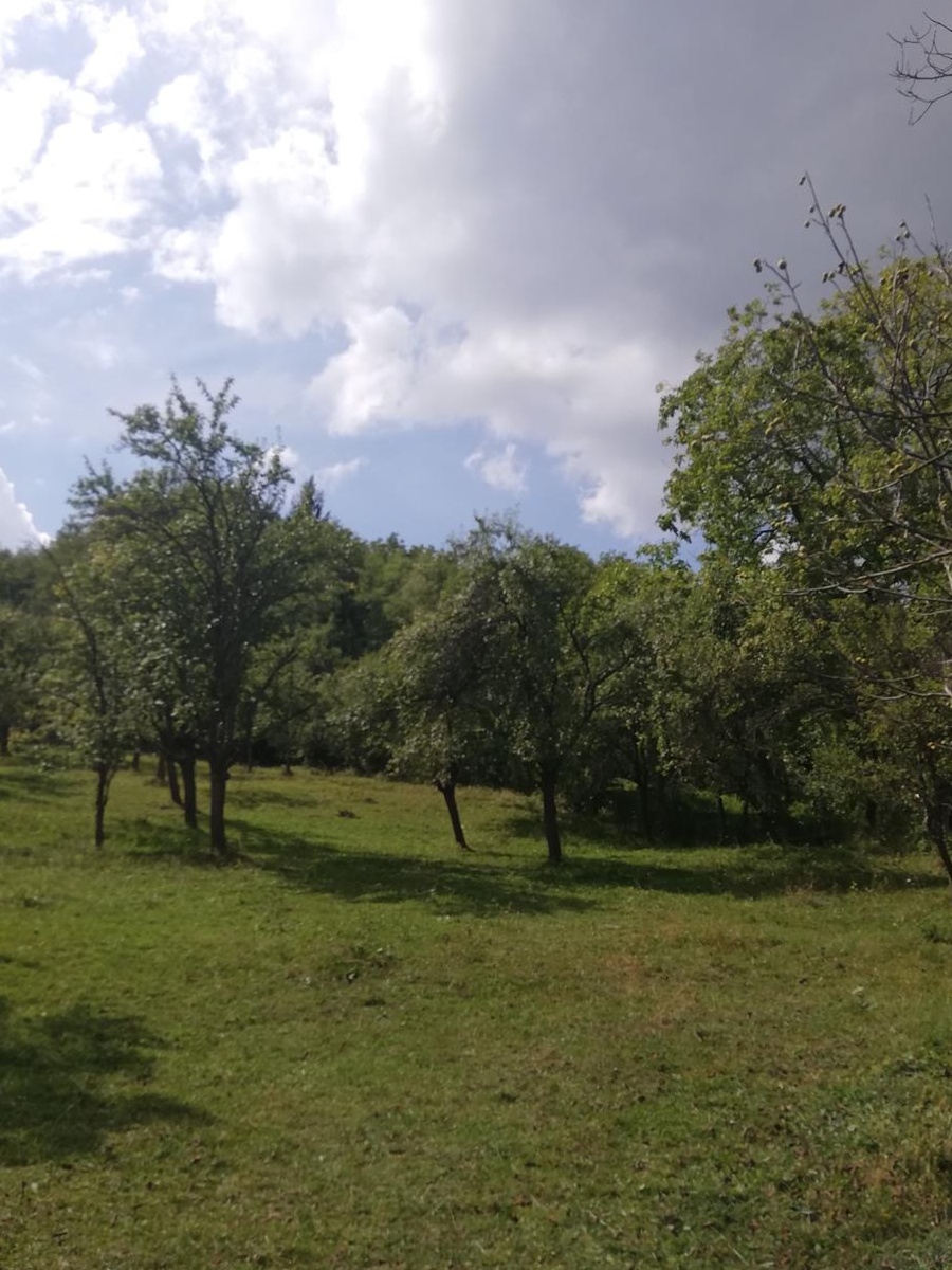 Vand teren intravilan Godeni Jud Arges