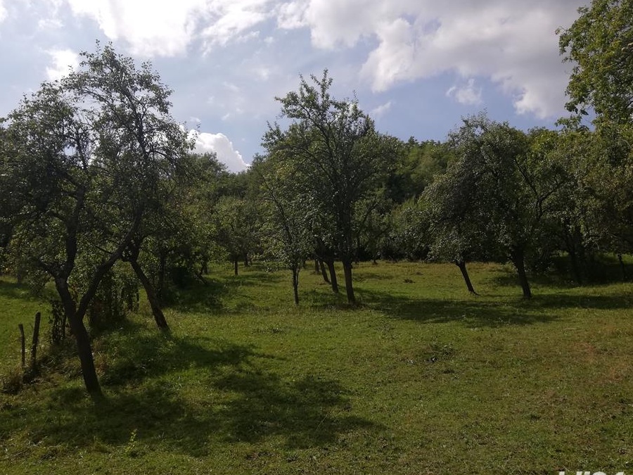 Vand teren intravilan Godeni Jud Arges