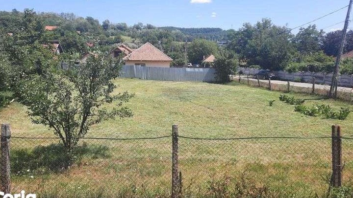 Vand teren intravilan Gorj,Lupoaia 965mp